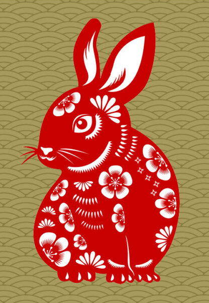  Didiseaon 4 Sets 2023 Year of The Rabbit Decoration